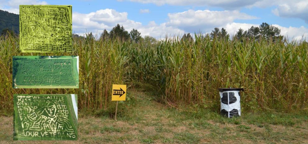 Cold-Mountain-Corn_Maize.jpg